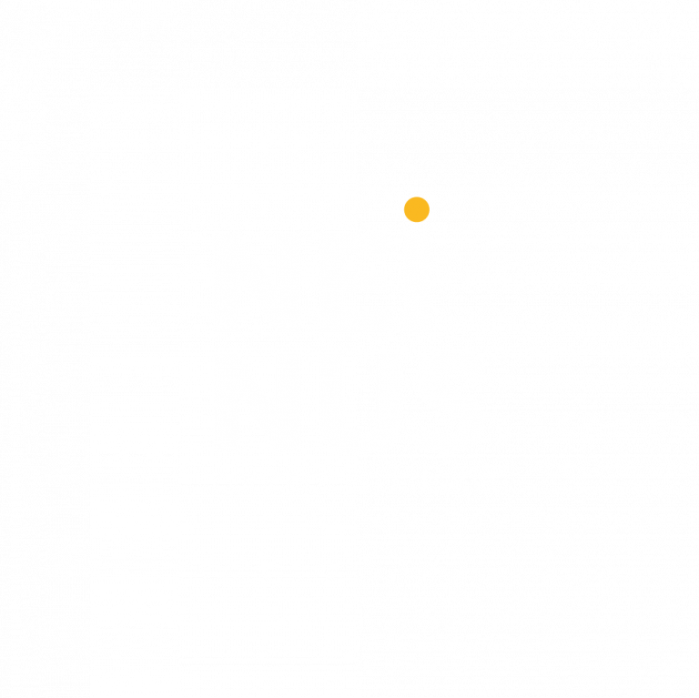 Neinus logo wit